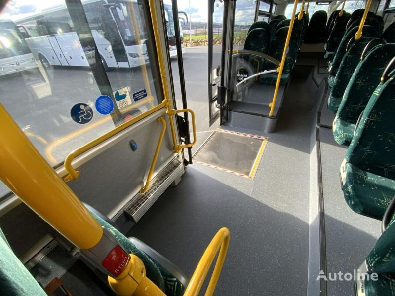 Autobús suburbano MAN A 20 Lion´s City: foto 11