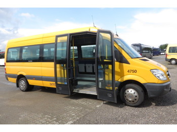 Minibús MERCEDES-BENZ Sprinter 515