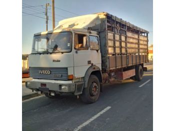 IVECO 175.24 Turbo left hand drive 19 ton Manual Cattle - Camión transporte de ganado