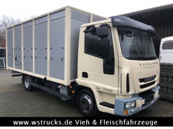 Iveco 100E22 mit Einstock  Baujahr 2013  - Camión transporte de ganado