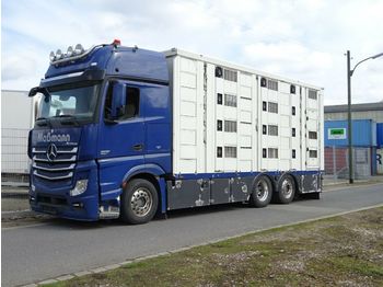 Camión transporte de ganado Mercedes-Benz Actros 2551 Menke 4 Stock Vollalu Hubach