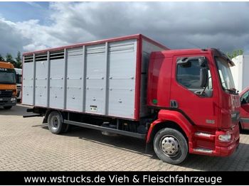 Camión transporte de ganado DAF LF 55 Einstock Köpf: foto 1