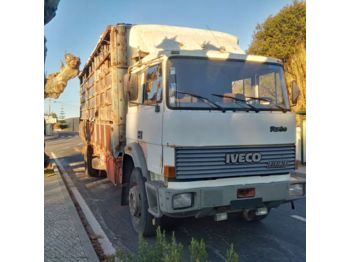 Camión transporte de ganado IVECO 175.24 Turbo left hand drive 19 ton Manual Telma Cattle: foto 1