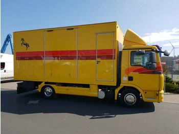 Camión para caballos MAN TGL 10.180 Euro 4  Pferdetransporter Horse: foto 3
