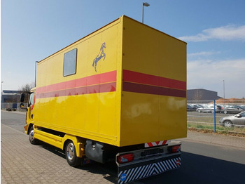 Camión para caballos MAN TGL 10.180 Euro 4  Pferdetransporter Horse: foto 5