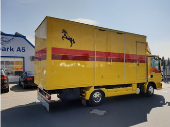 Camión para caballos MAN TGL 10.180 Euro 4  Pferdetransporter Horse: foto 4