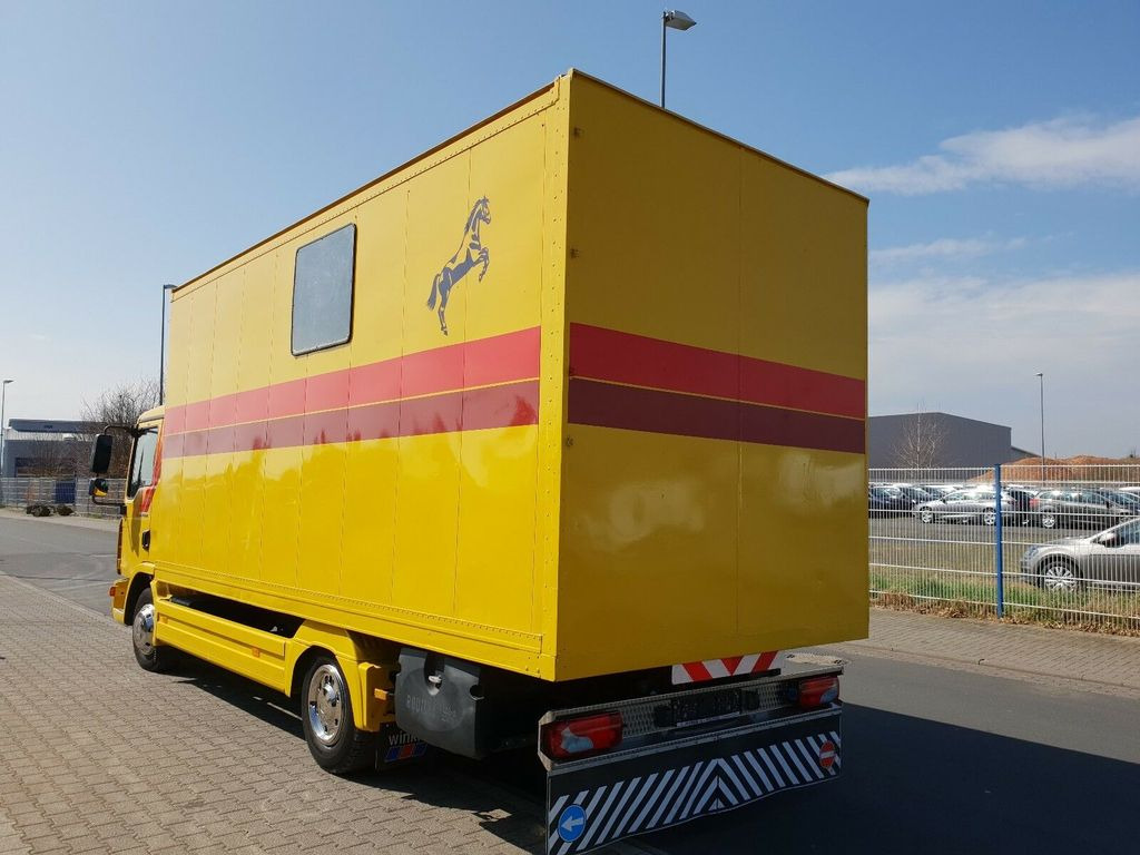 Camión para caballos MAN TGL 10.180 Euro 4  Pferdetransporter Horse: foto 5