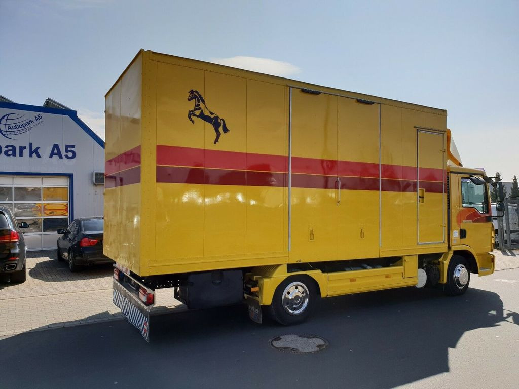 Camión para caballos MAN TGL 10.180 Euro 4  Pferdetransporter Horse: foto 4