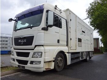 Camión transporte de ganado MAN TGX 18.480 LX Menke 2 Stock Vollalu: foto 1