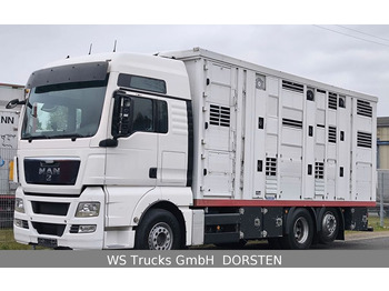 MAN TGX 26.440 FG 6x2  Menke Janzen 3 Stock  - Camión transporte de ganado: foto 1