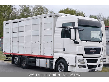 MAN TGX 26.440 FG 6x2  Menke Janzen 3 Stock  - Camión transporte de ganado: foto 2