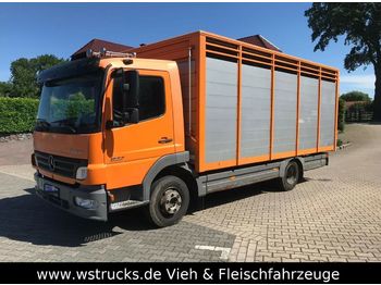 Camión transporte de ganado para transporte de animales Mercedes-Benz 822 L  mit Eckstein Einstock: foto 1