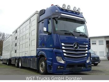 Camión transporte de ganado Mercedes-Benz Actros  2551 Menke 4 Stock Vollalu Hubach: foto 1