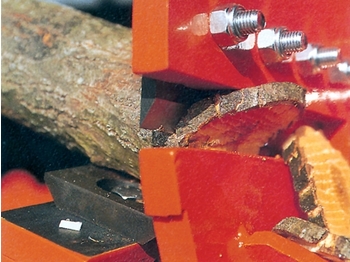 Trituradora de madera Gandini 150: foto 1