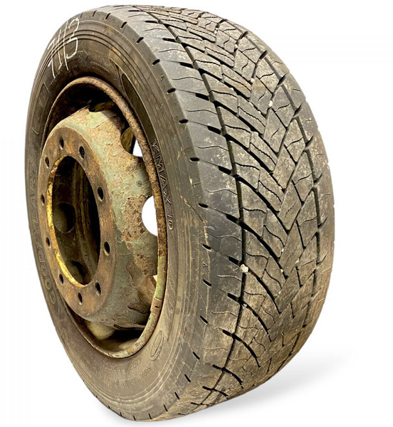 Neumáticos y llantas Goodyear R-series (01.04-): foto 11