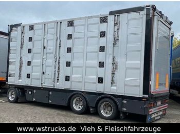 Remolque transporte de ganado Menke 5 Stock Unfall  Hubdach  Vollalu Typ 2: foto 1