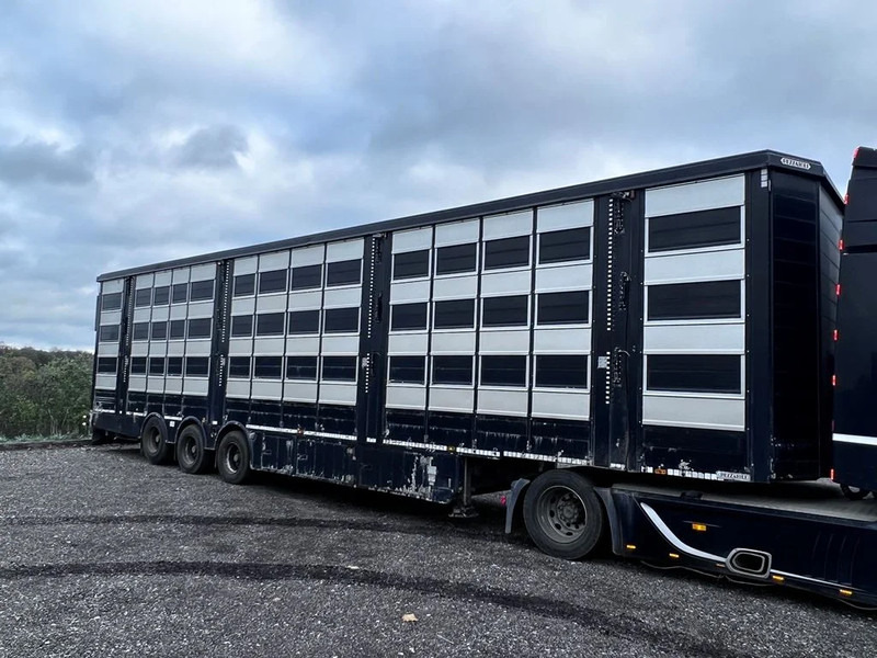 Semirremolque transporte de ganado Pezzaioli 4 stock 121,50m2: foto 8
