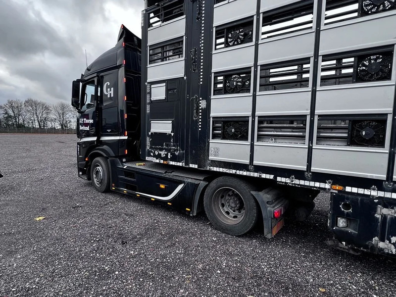Semirremolque transporte de ganado Pezzaioli 4 stock 121,50m2: foto 11