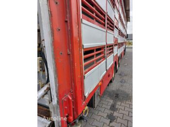 Semirremolque transporte de ganado Pezzaioli SBA31 5 poziomów: foto 3