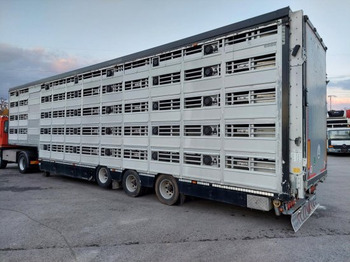 Semirremolque transporte de ganado Pezzaioli SBA32/G , 5 Stock , Viehtransporter  , Tränkeranlage,: foto 2
