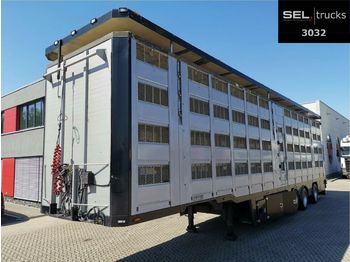 Pezzaioli Menke-Janzen / 4 Stock / Hudbach / Lenkachse  - Semirremolque transporte de ganado