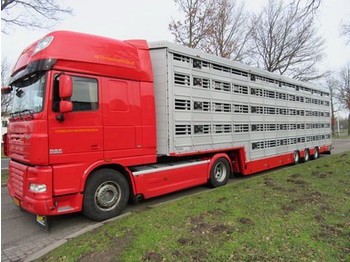 Pezzaioli SBA** - Semirremolque transporte de ganado