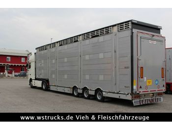 Pezzaioli SBA31-SR  3 Stock  Vermietung  - Semirremolque transporte de ganado