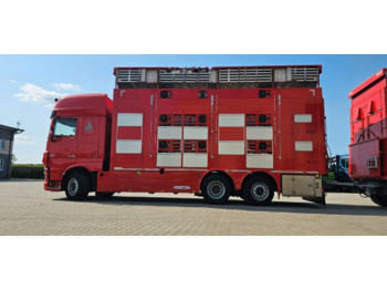 Camión transporte de ganado DAF XF 105 510