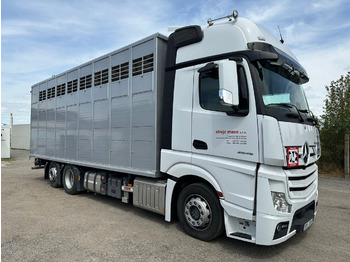 Camión transporte de ganado MERCEDES-BENZ Actros 2545
