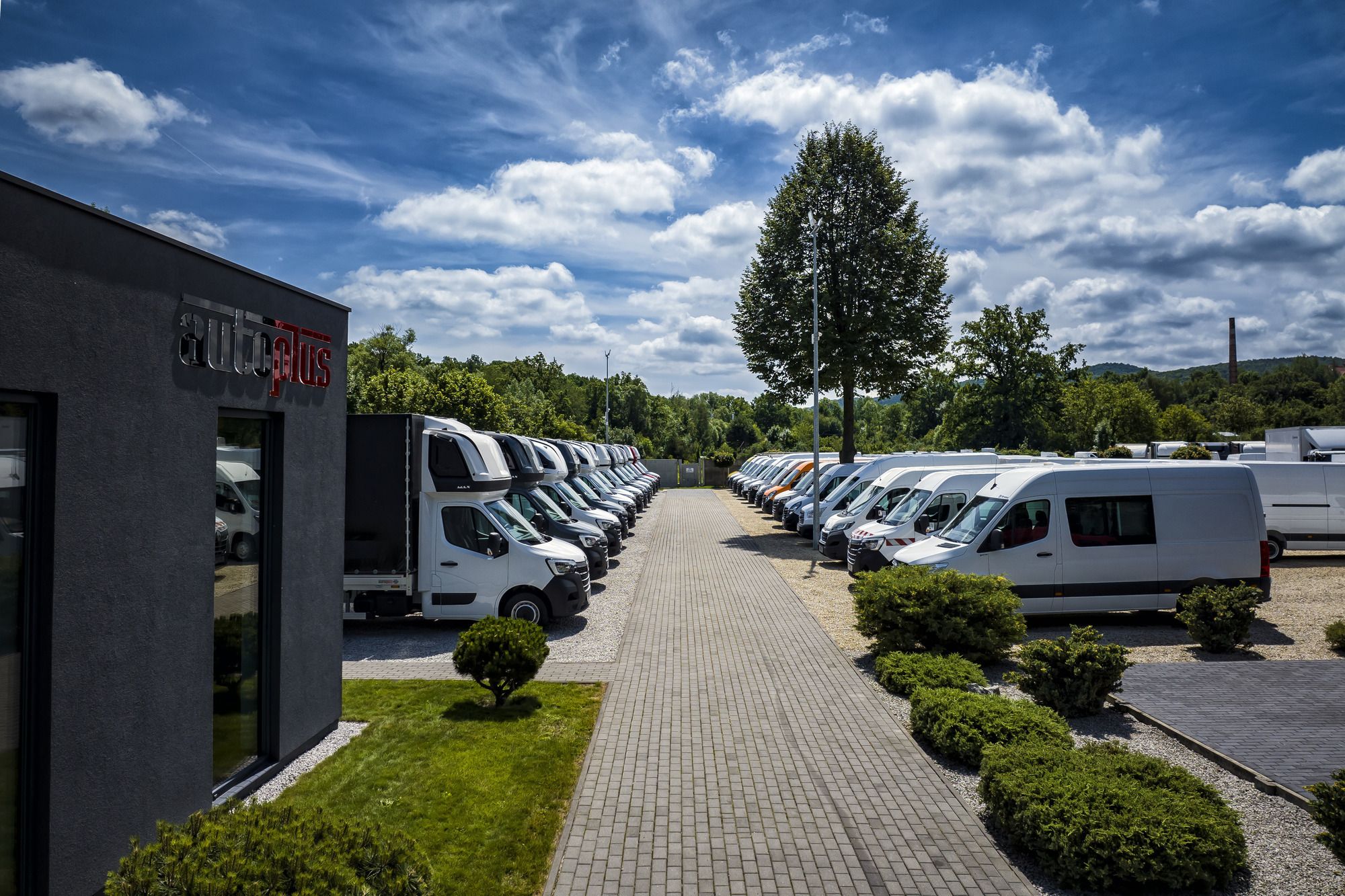 AUTO-PLUS DEALER - anuncios sobre venta undefined: foto 3