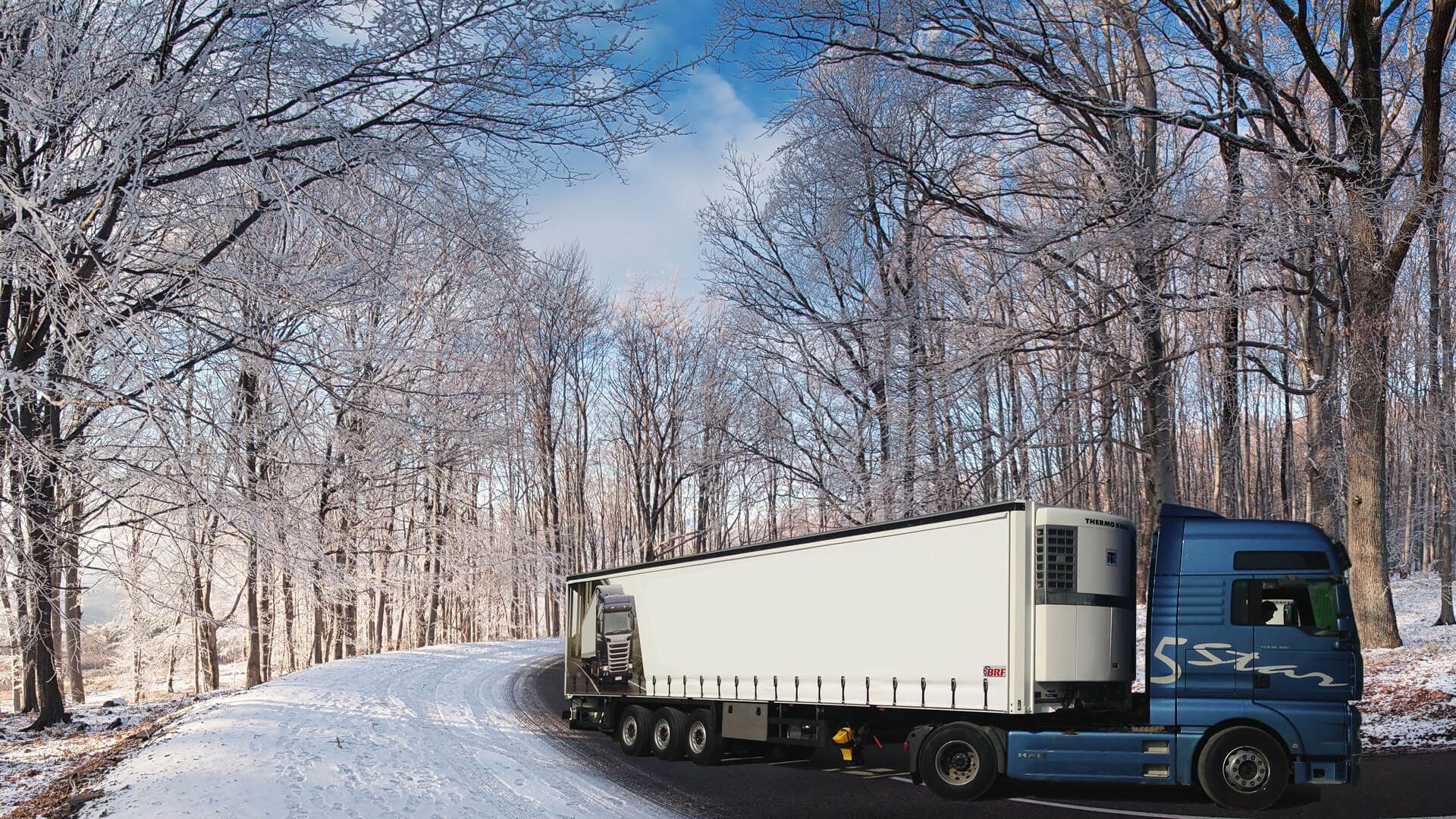 BRF REFRIGERATED TRAILER undefined: foto 3