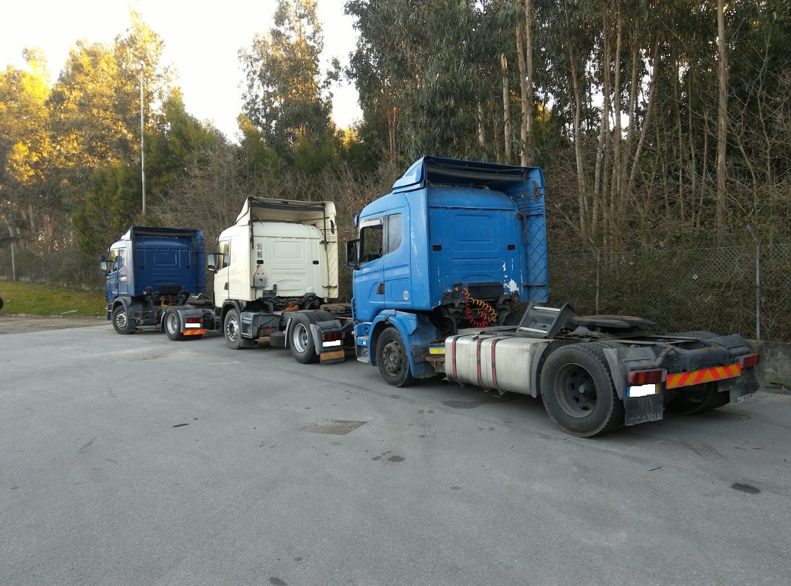 Britannia Export Consultants Limited - Otros maquinaria undefined: foto 17