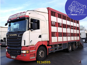 Camión transporte de ganado SCANIA R 500