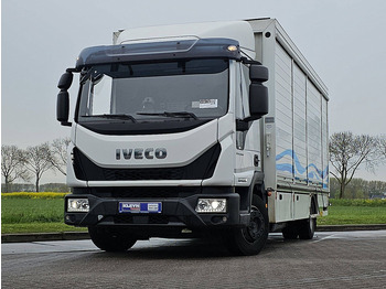 Camión caja cerrada IVECO EuroCargo