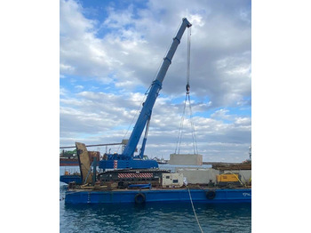 Grúa sobre orugas LIEBHERR