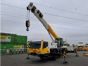 Grúa todo terreno DEMAG
