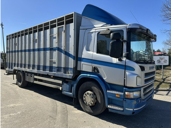 Camión caja cerrada SCANIA P 310