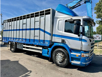 Camión caja cerrada SCANIA P 310