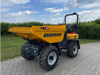 Leasing de Bergmann C805S Bergmann C805S: foto 1
