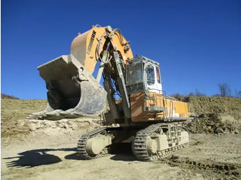 Excavadora de cadenas LIEBHERR R 974