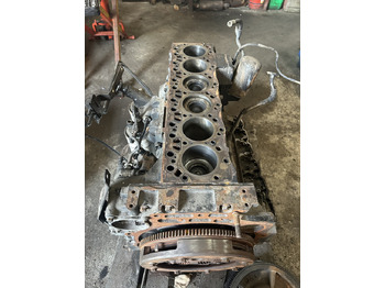 Motor para Maquinaria agrícola New holland silnik Model: F4DE9687 , model type: 667TA , części  blok wał głowica korbowód: foto 5