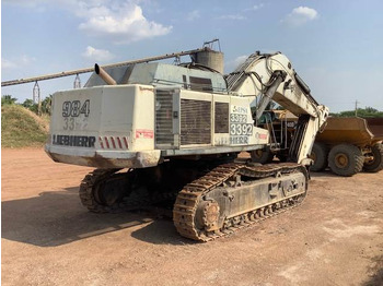 Excavadora de cadenas Liebherr 984C: foto 3