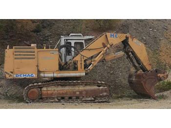 Excavadora de cadenas DEMAG