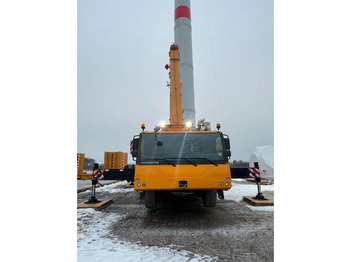Grúa todo terreno LIEBHERR