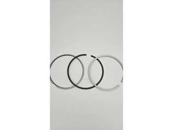 Motor y piezas LIEBHERR