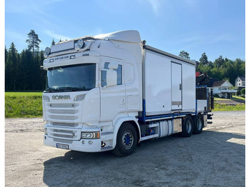 Camión grúa SCANIA R 520