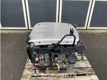 Silenciador/ Sistema de escape DAF