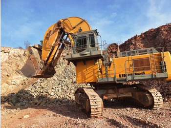 Excavadora de cadenas LIEBHERR