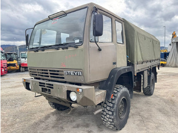 Camión lona STEYR