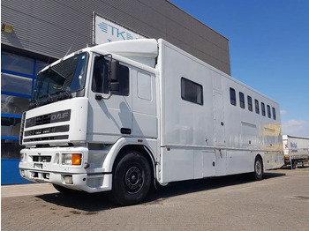 Camión para caballos DAF 95 350